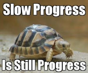 Turtle: Slow Progress Is Still Progress